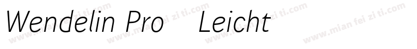 Wendelin Pro 45 Leicht字体转换